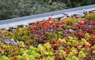 the cost of Achfary green roof installation